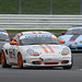 Toyo BRSCC Porsches, Silverstone International, 17-18 Oct 2015